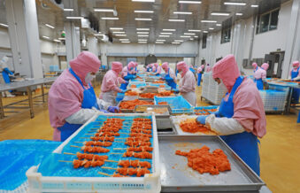 Workers are busy in the chicken segmentation workshop in a food processing plant